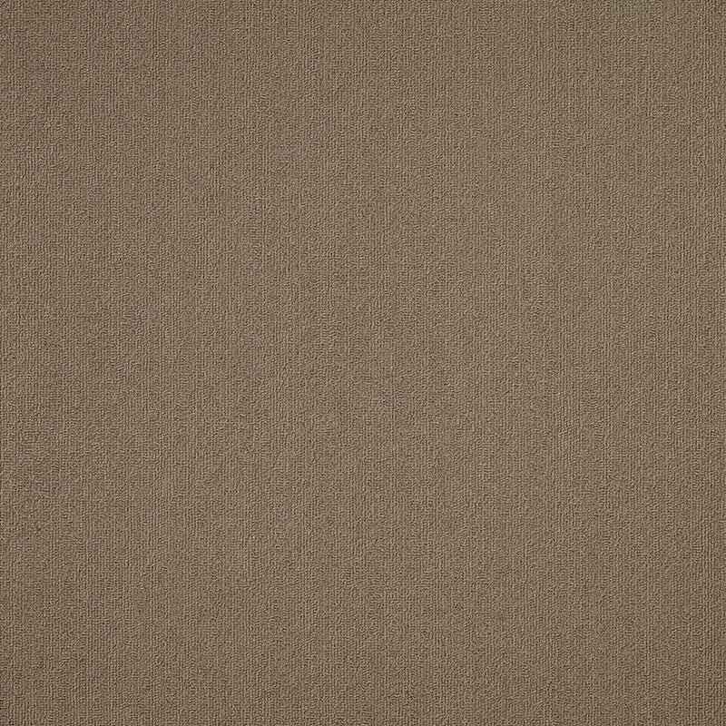 Shaw Carpet Tile Color Accents Portabella
