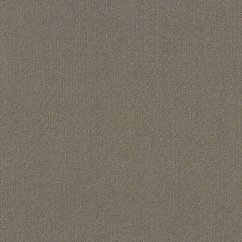 Shaw Carpet Tile Color Accents Portabella 18