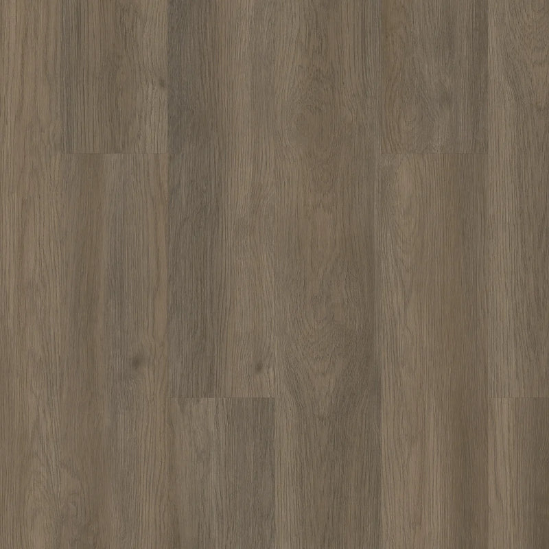 Shaw Infinite Vinyl Plank Loose Lay Raconteur