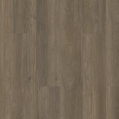 Shaw Floorte Pro Infinite SPC Raconteur Swatch