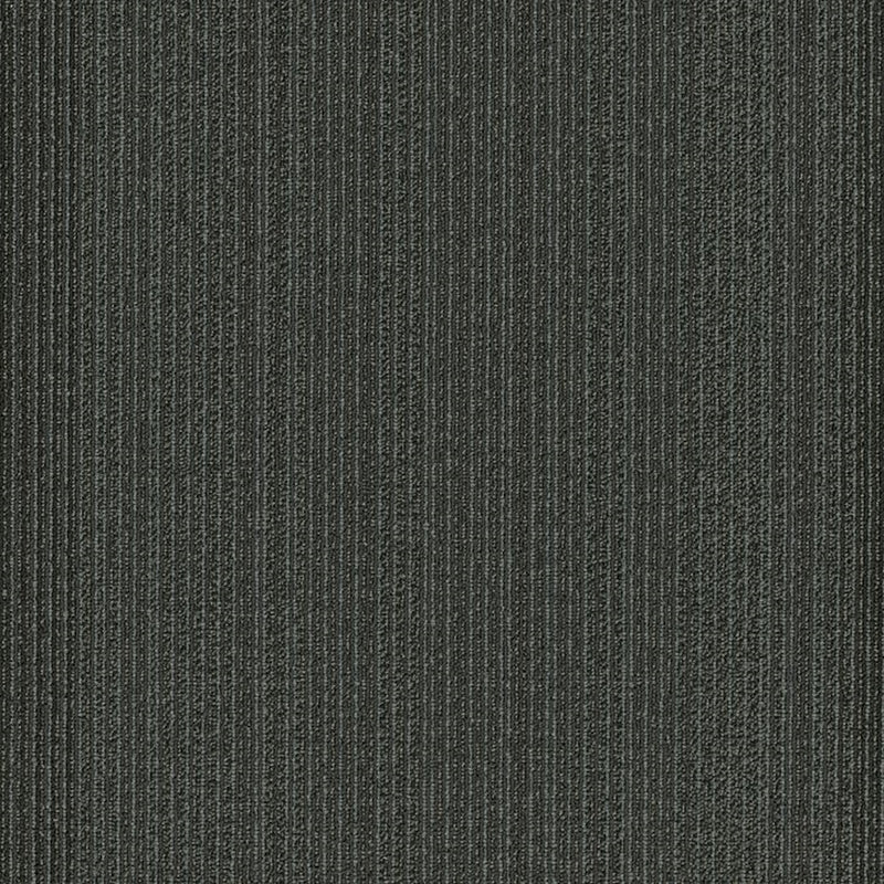 Shaw Carpet Tile Practical Rational