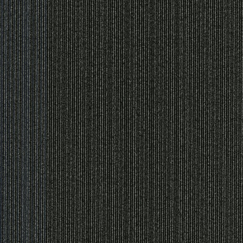 Shaw Carpet Tile Practical Realistic