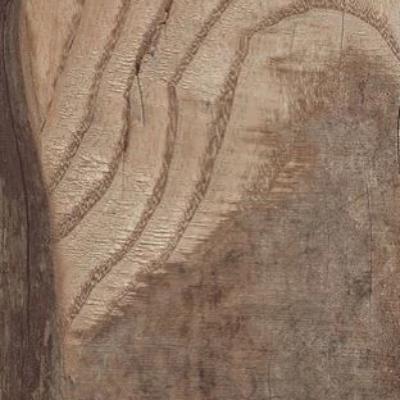 Paramount Tile Backwoods Leather Saddle 6