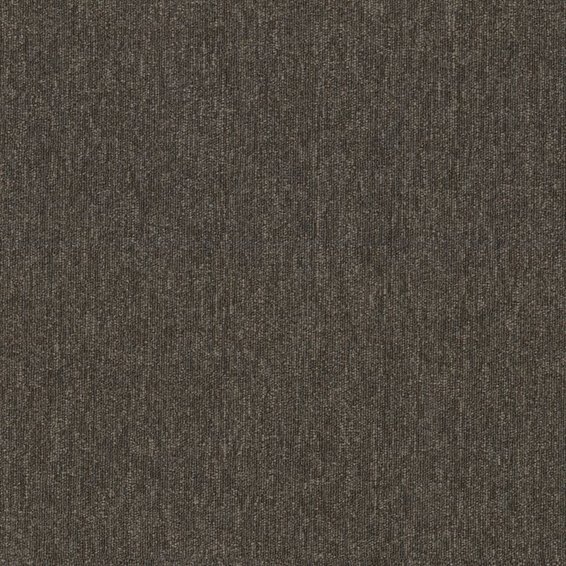 Shaw Carpet Tile Profusion Tile Scads