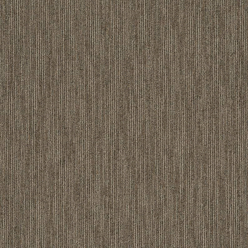 Shaw Carpet Tile Flattery Scholarly