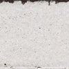 Seashell / 5.72 Seashell / 5.72