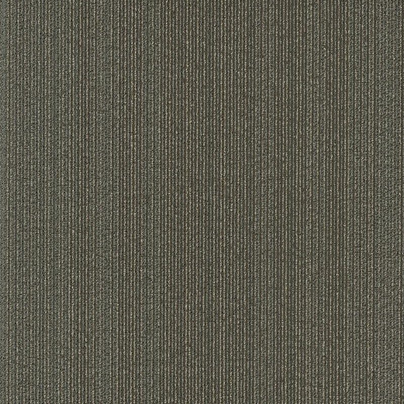 Shaw Carpet Tile Practical Sensible