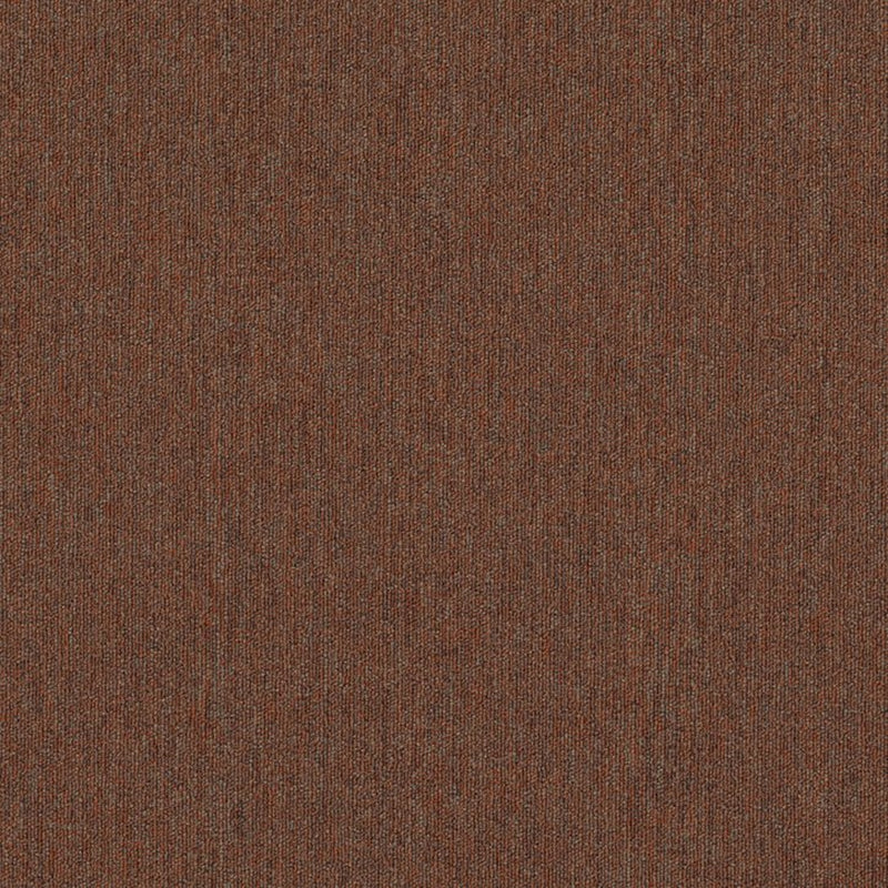 Shaw Carpet Tile Profusion Tile Surplus