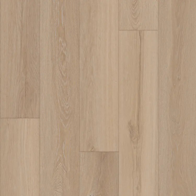 Mannington Restoration Everest Glacier