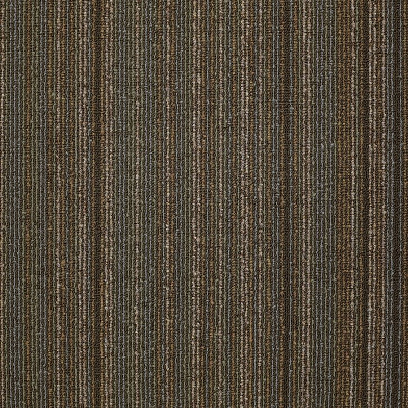 Shaw Carpet Tile Wired Energize