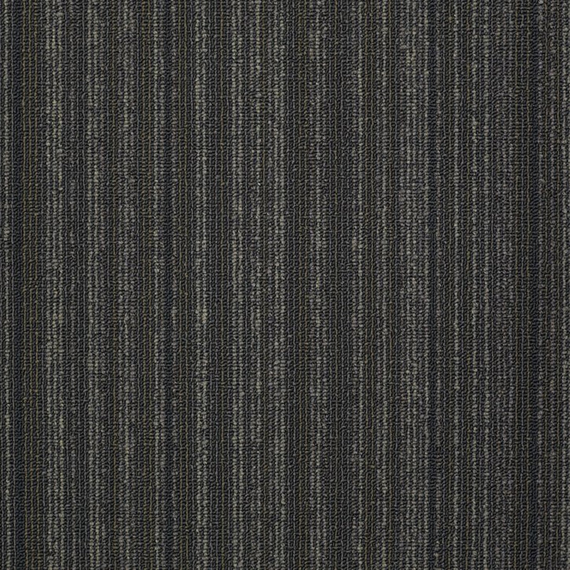 Shaw Carpet Tile Wired Shocked