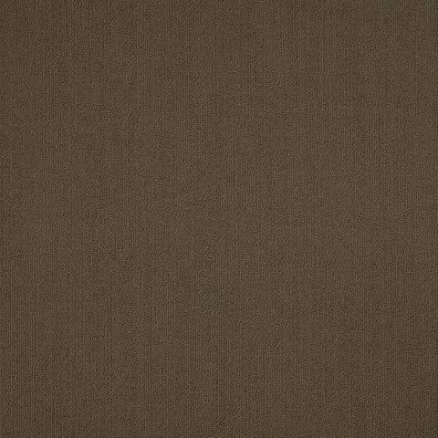 Shaw Carpet Tile Color Accents Timber Swatch