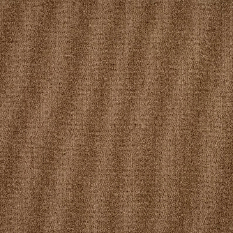 Shaw Carpet Tile Color Accents Tobacco