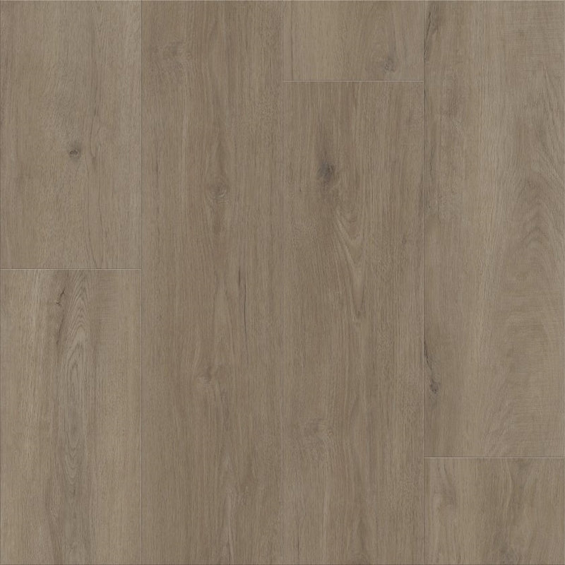 Shaw Floorte Dwell Truffle