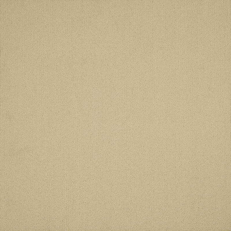 Shaw Carpet Tile Color Accents Tumbleweed