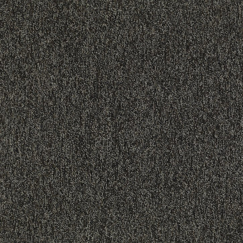 Shaw Carpet Tile Multiplicity Volume 24”