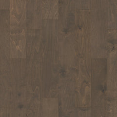 Shaw Biscayne Bay Windsurf Swatch