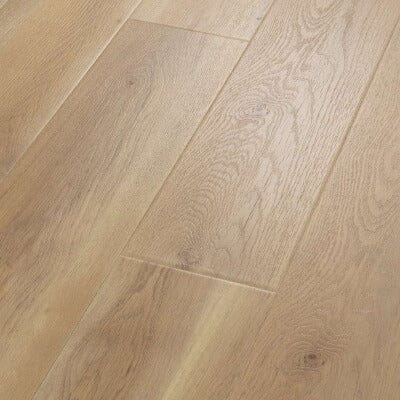 Shaw Paragon HD Plus Edgemont Shaw Shaw