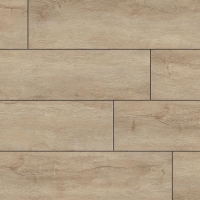 MSI Everlife XL Cyrus Sandino