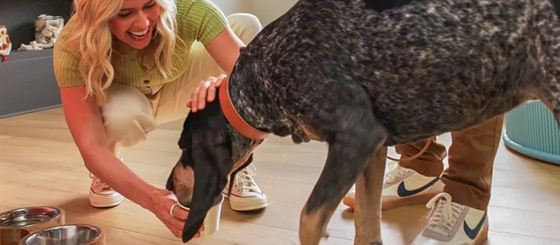 COREtec Flooring: Why It’s a Top Choice and Why Buying Online at FlooringMarket.com Makes Sense