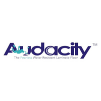 Audacity 