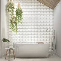 Color Wheel Classic Group 1