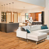 Paramount Engineered Mt. Adams