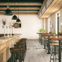 Pro Enhanced (VV491)