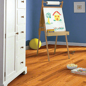 Anderson Hardwood Bryson II Plank