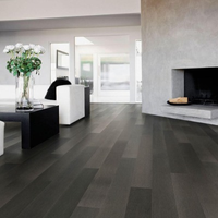 Canoe Bay Hardwood Sanctuary