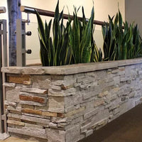 Ledgestone Collection