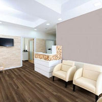 Pro Classics (VV017)