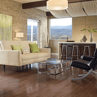 Color Plank 3/4&quot;