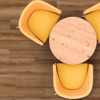 Pro Classics (VV490)