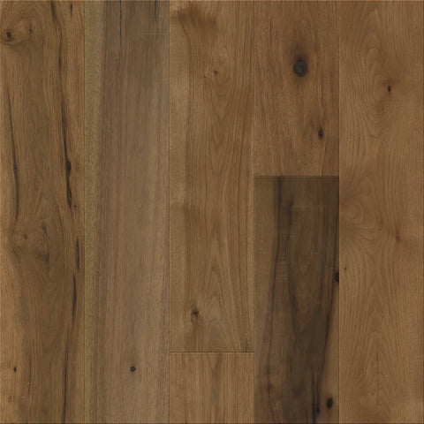 Anderson Transcendence Inherent Swatch