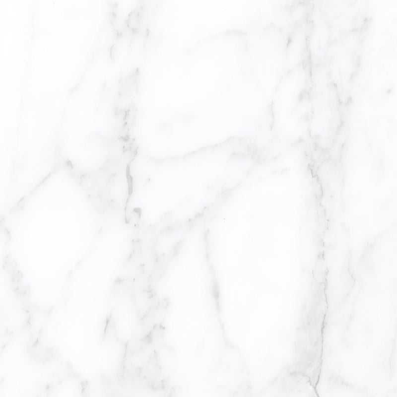 Tile Collection Jem 12x24 Tile Adagio White Polished Rectified