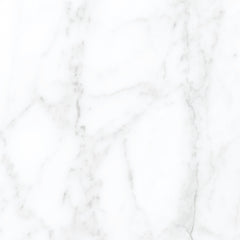 Tile Collection Jem 12x24 Tile Adagio White Polished Rectified