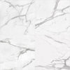 Tile Collection La Marca 12x24 Tile Statuario Nuovo Rectified Polished