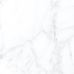 Tile Collection Jem 24x48 Tile Adagio White Polished Rectified