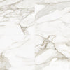 Tile Collection La Marca 12x24 Tile Calacatta Paonazzo Rectified Polished