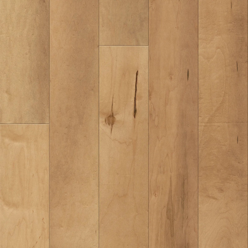 Anderson Ellison Maple Charismatic