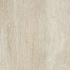 Paramount Tile Fossil Crema Matte 12" x 24"