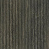 Paramount Tile Fossil Bruno Matte 12" x 24"