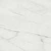 Shaw Tile Maximus Carrara 12"x12" Swatch