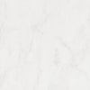 Shaw Tile Maximus Carrara 18"x18" Swatch