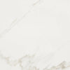 Shaw Tile Maximus Calacatta 12"x24" Swatch
