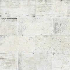 Shaw Tile San Francisco Presidio 4x8 Swatch