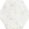 Shaw Tile San Francisco Hexagon Presidio Swatch