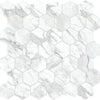Tile Collection La Marca 2" Hexagon Mosaic Statuarietto Tile Polished