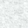 Tile Collection La Marca 2x2 Mosaic Carrara Gioia Tile